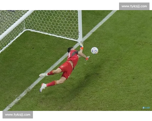半高球点球:守门员的 “送分题”? 半高球点球:守门员的 “送分题”?