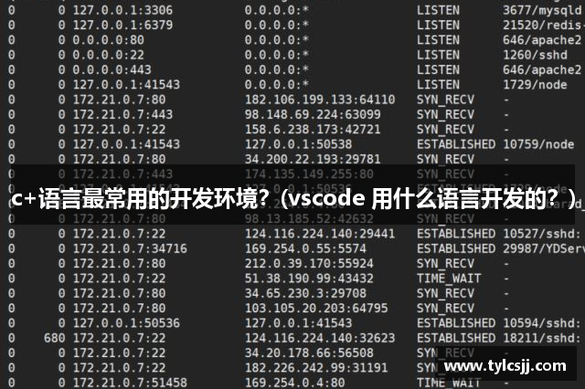 c+语言最常用的开发环境？(vscode 用什么语言开发的？)